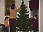 Christmas 12 03  8