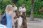 Disney 2001 191