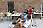 Img 7062