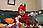 Img 9397