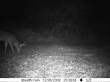 Latest pictures 001