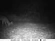 Latest pictures 002
