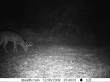 Latest pictures 003