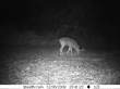 Latest pictures 005