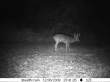 Latest pictures 006