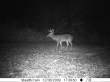 Latest pictures 008