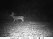 Latest pictures 009