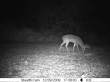 Latest pictures 010