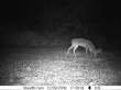Latest pictures 011