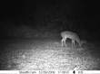 Latest pictures 012