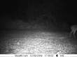 Latest pictures 014