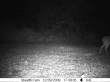 Latest pictures 015