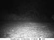 Latest pictures 016