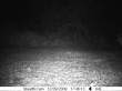 Latest pictures 018